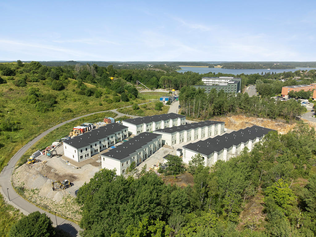 Område