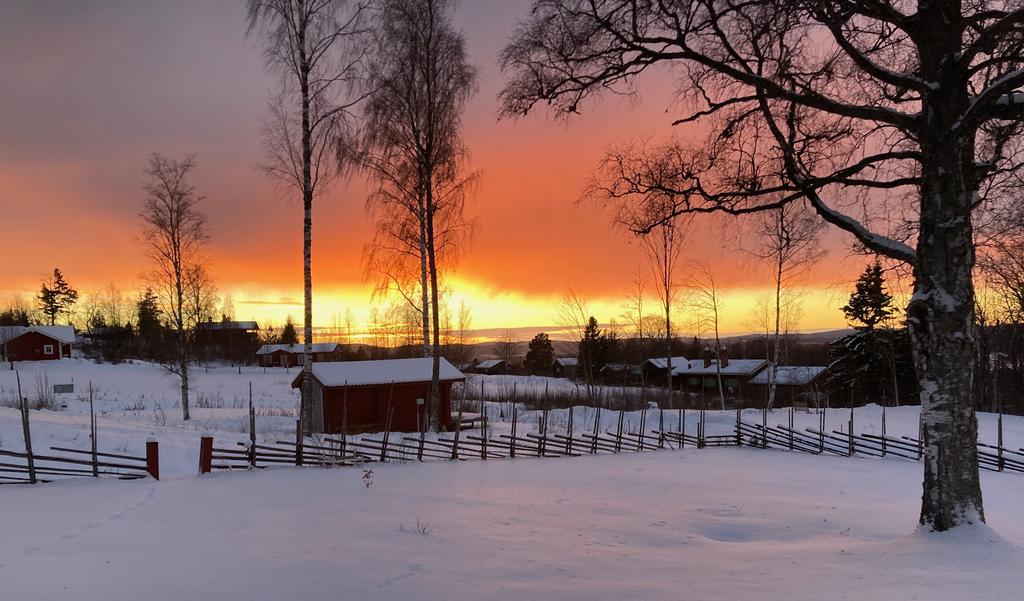 Säljarens egna bilder