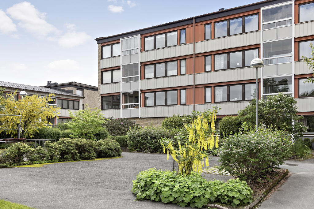 Föreningens fina gårdar blir en naturlig mötesplats.