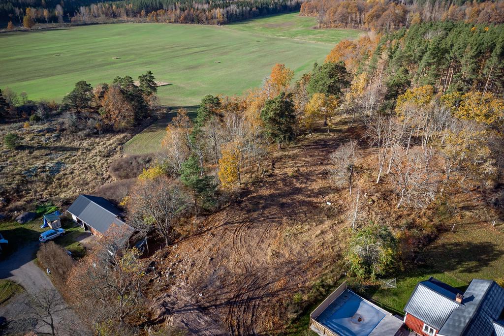 Närhet till skog och natur