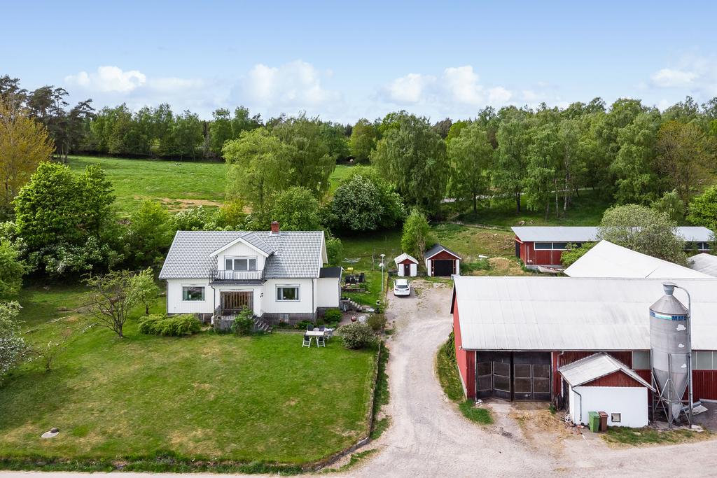 Uppfartsvägen till gården mellan huset och ladugården.