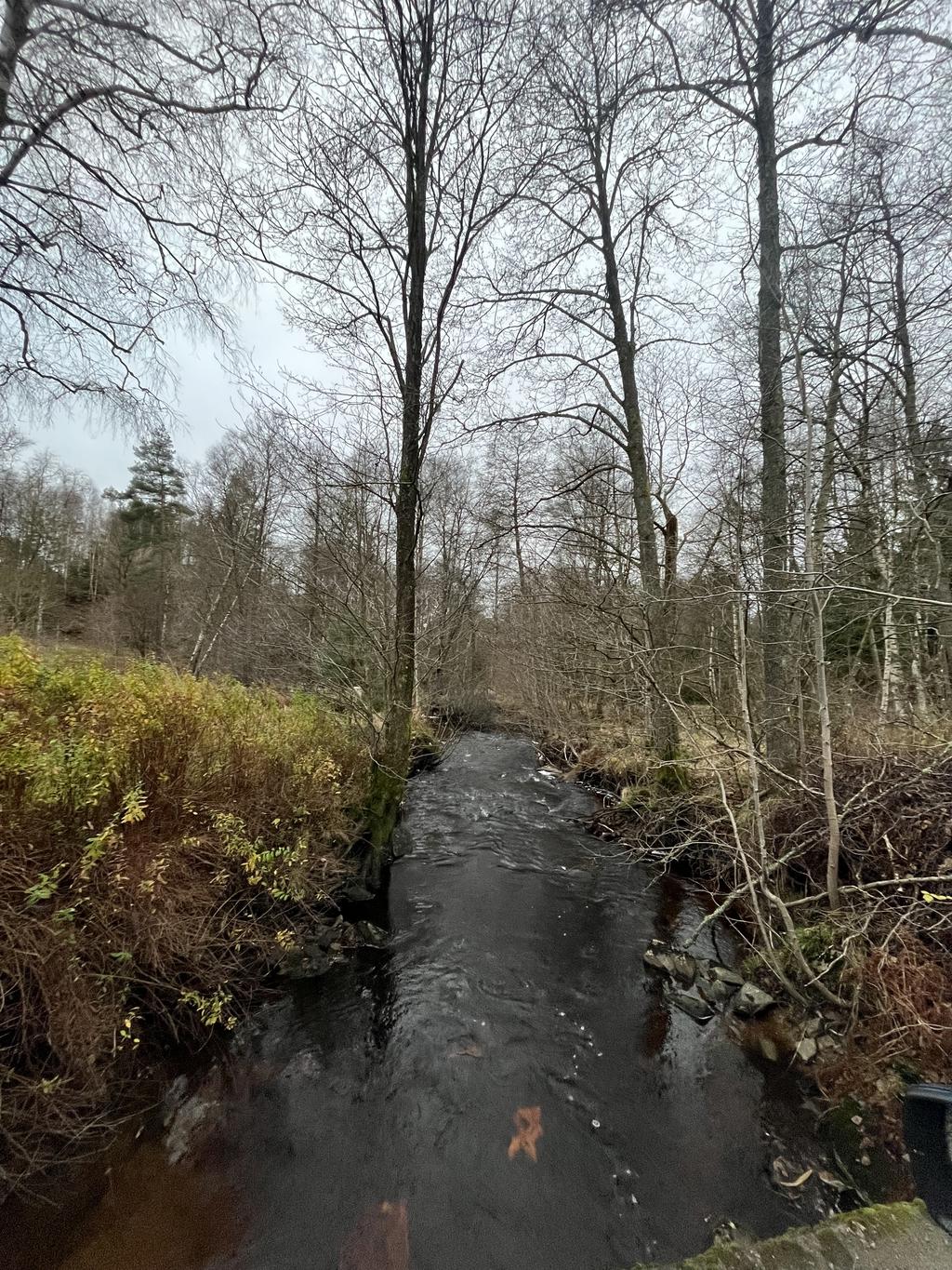 Här hör du den porlande lilla ån som rinner ner till sjön