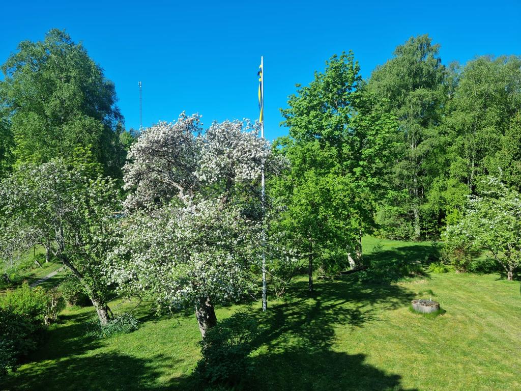 Underbar trädgård