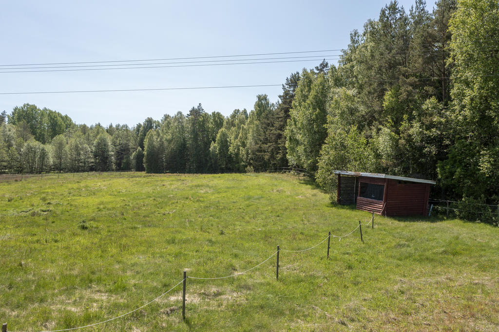 Vindskydd för hästar
