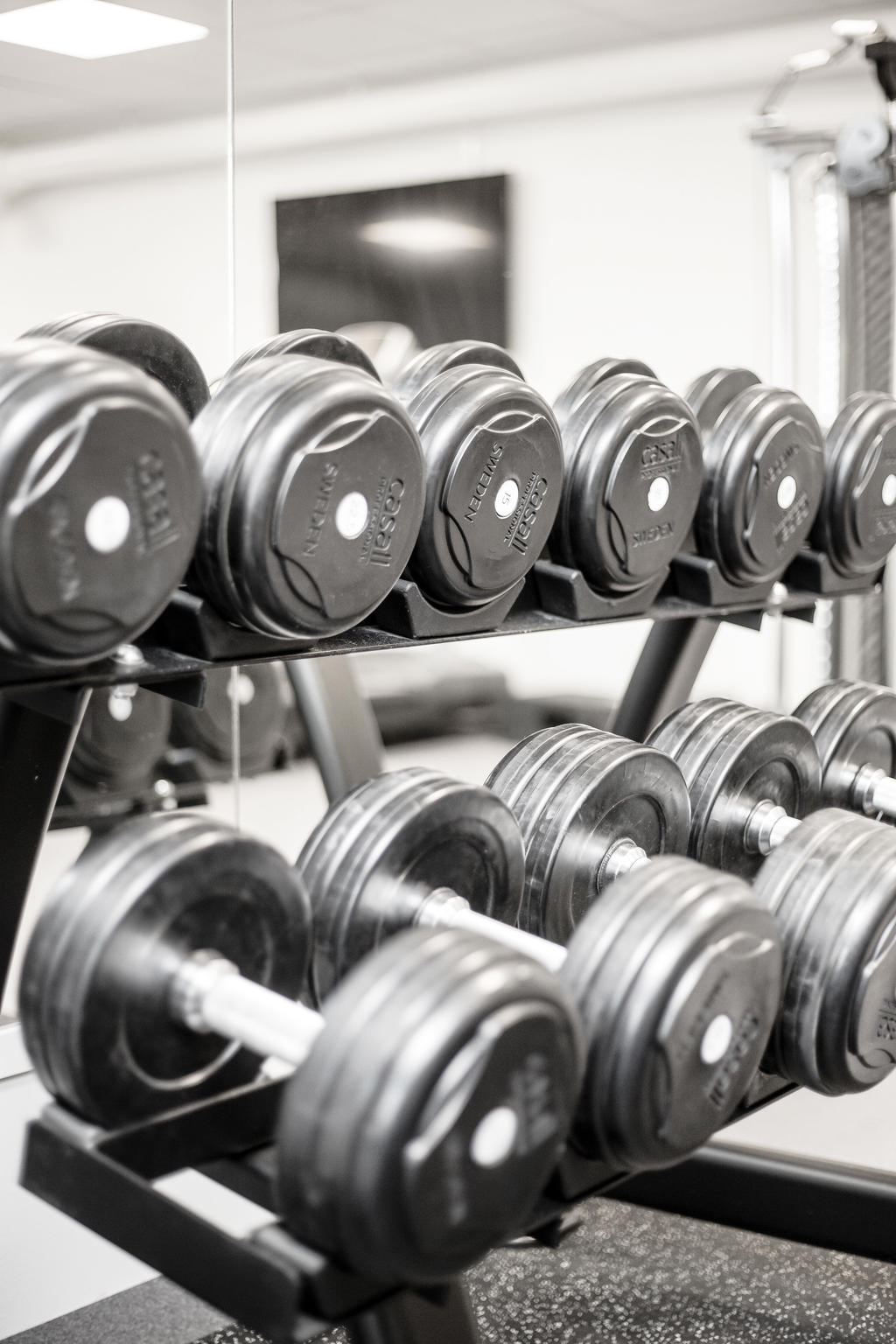 Föreningens gym