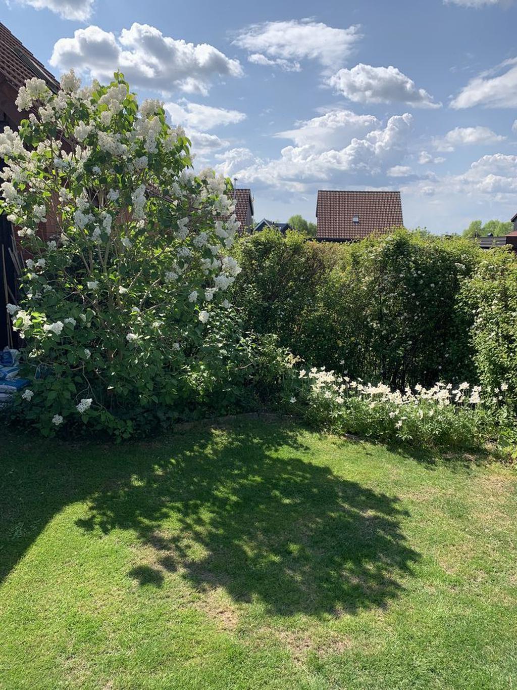 Säljarens bild