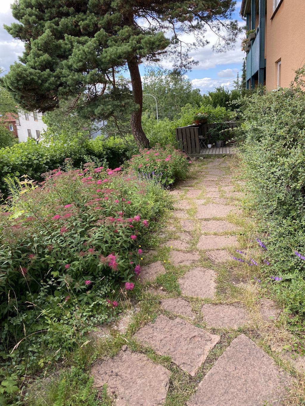 Gångar i ölandsten, ur ägarens fotoalbum