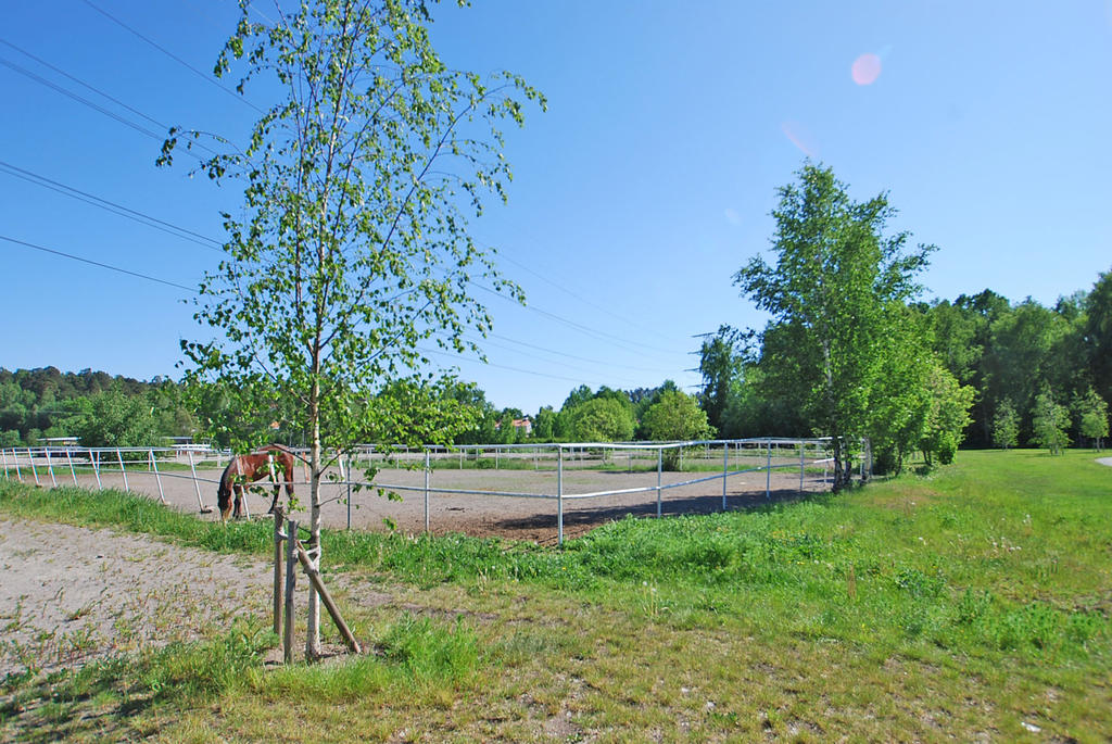 Solvalla hästhagar