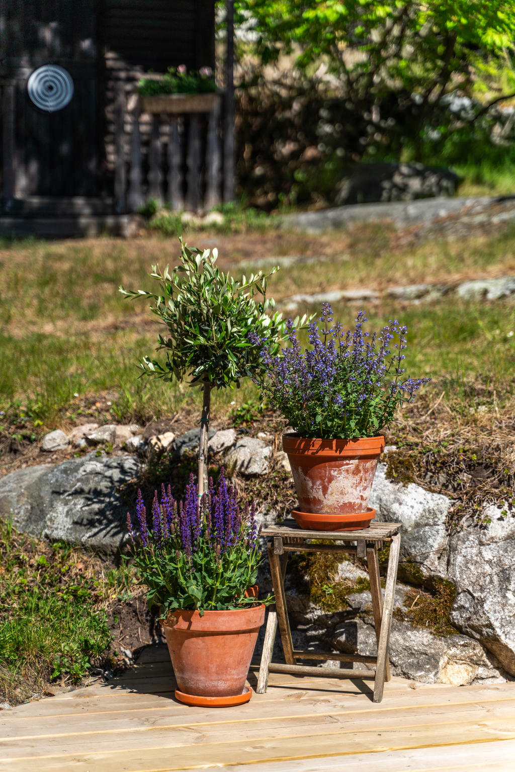 Detaljbild trädgården