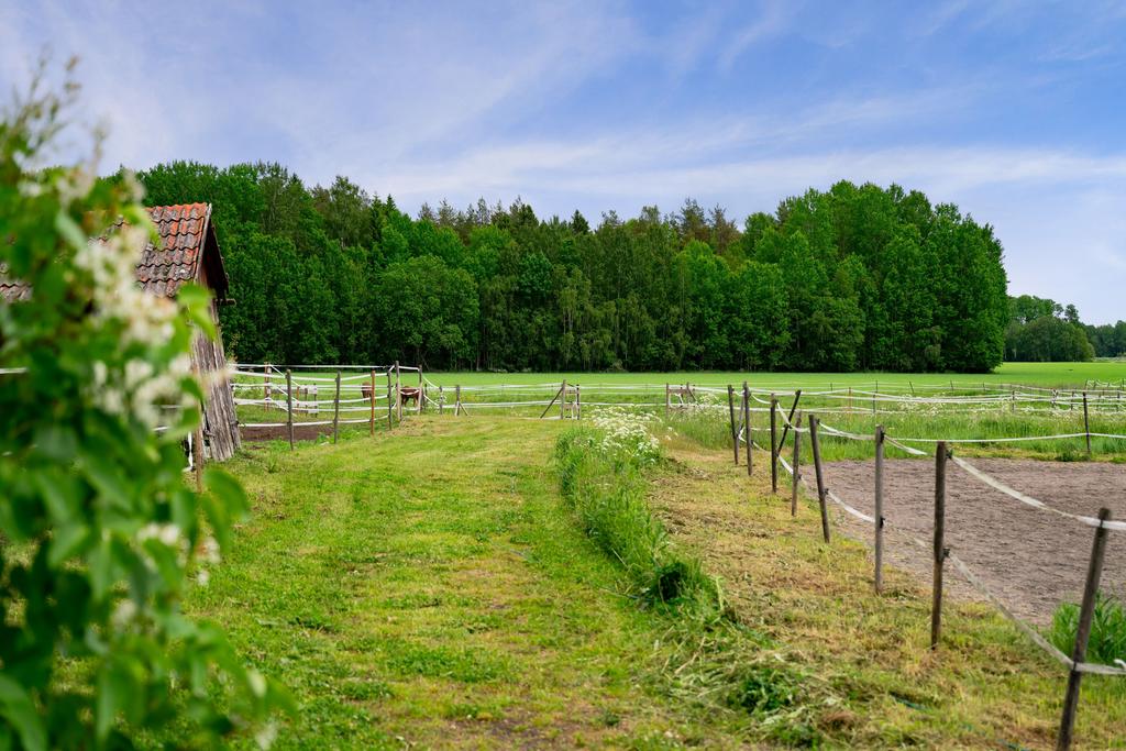 Vinterhagar och sommarhagar