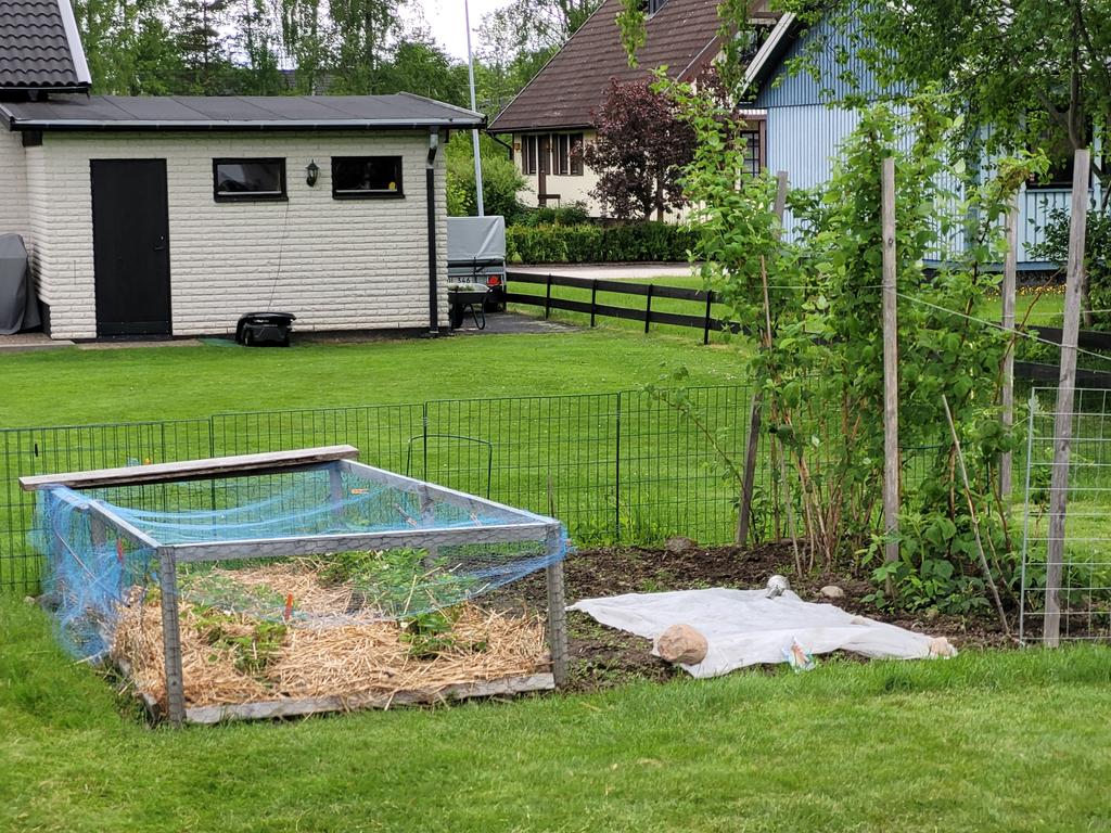 Säljarens sommarbilder