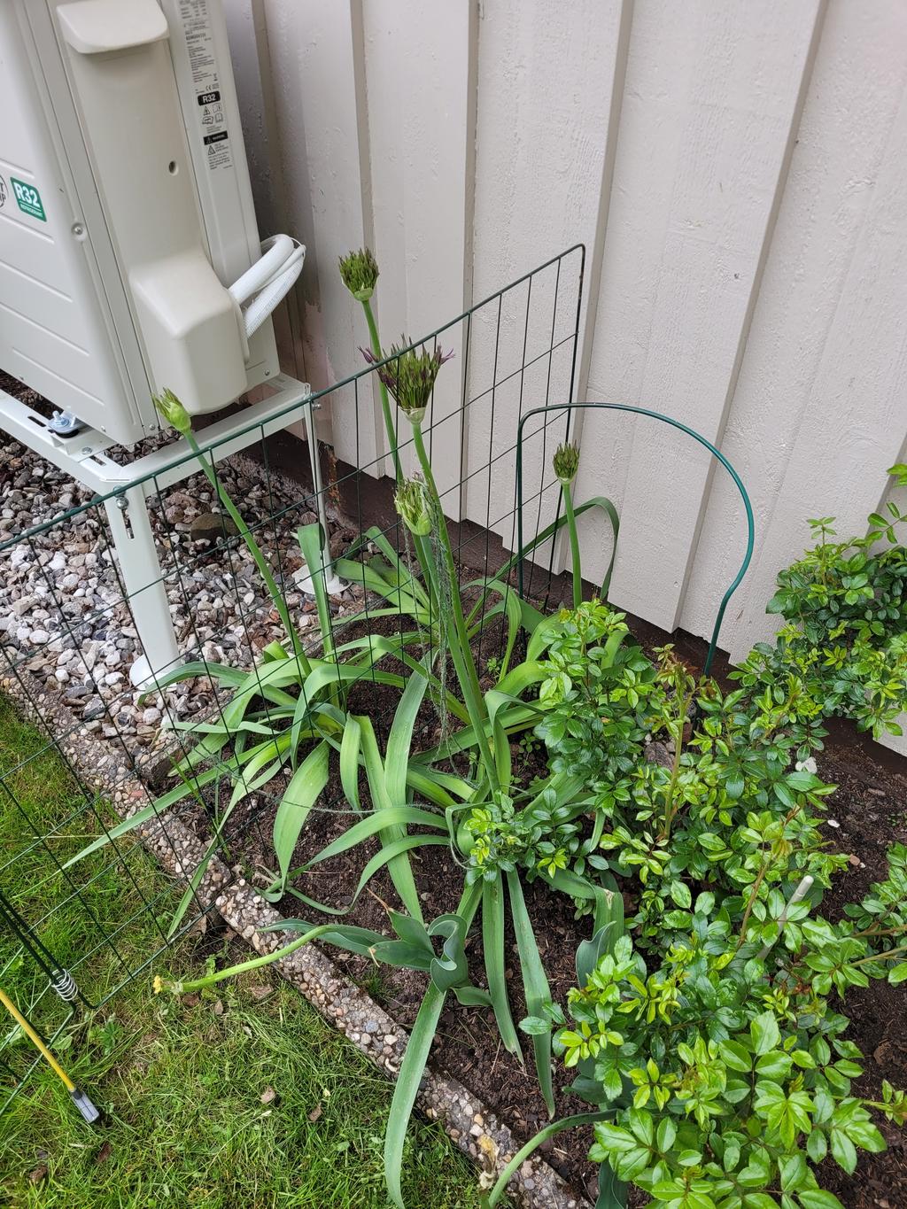 Säljarens sommarbilder