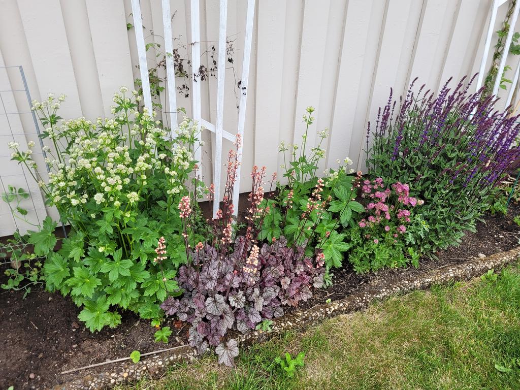 Säljarens sommarbilder