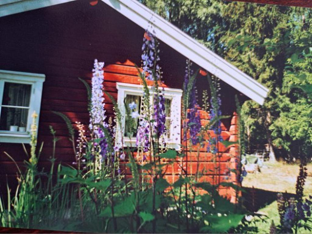 Säljarens bild