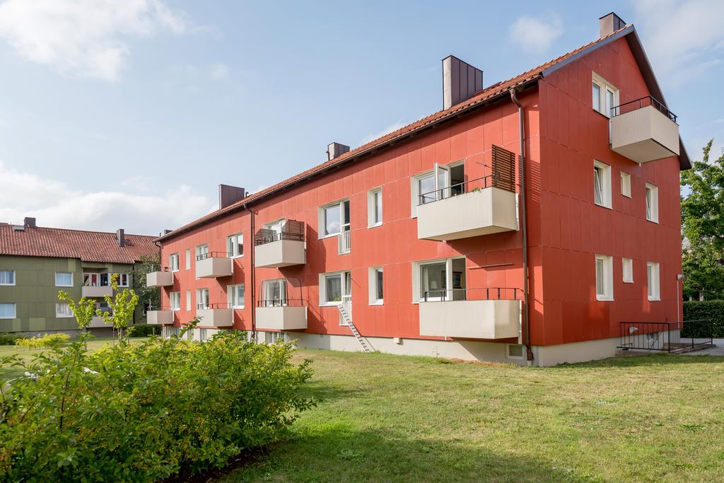 Hus