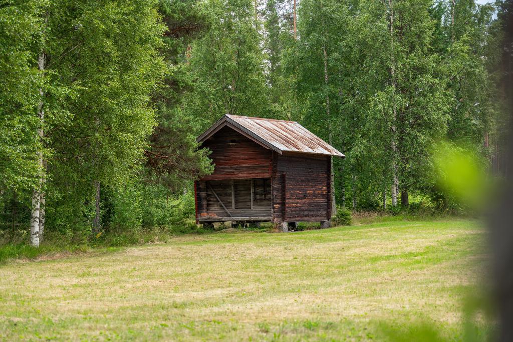 Ett litet härbre som hör till 
