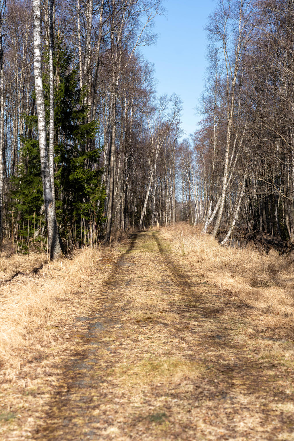 Väg från sjön