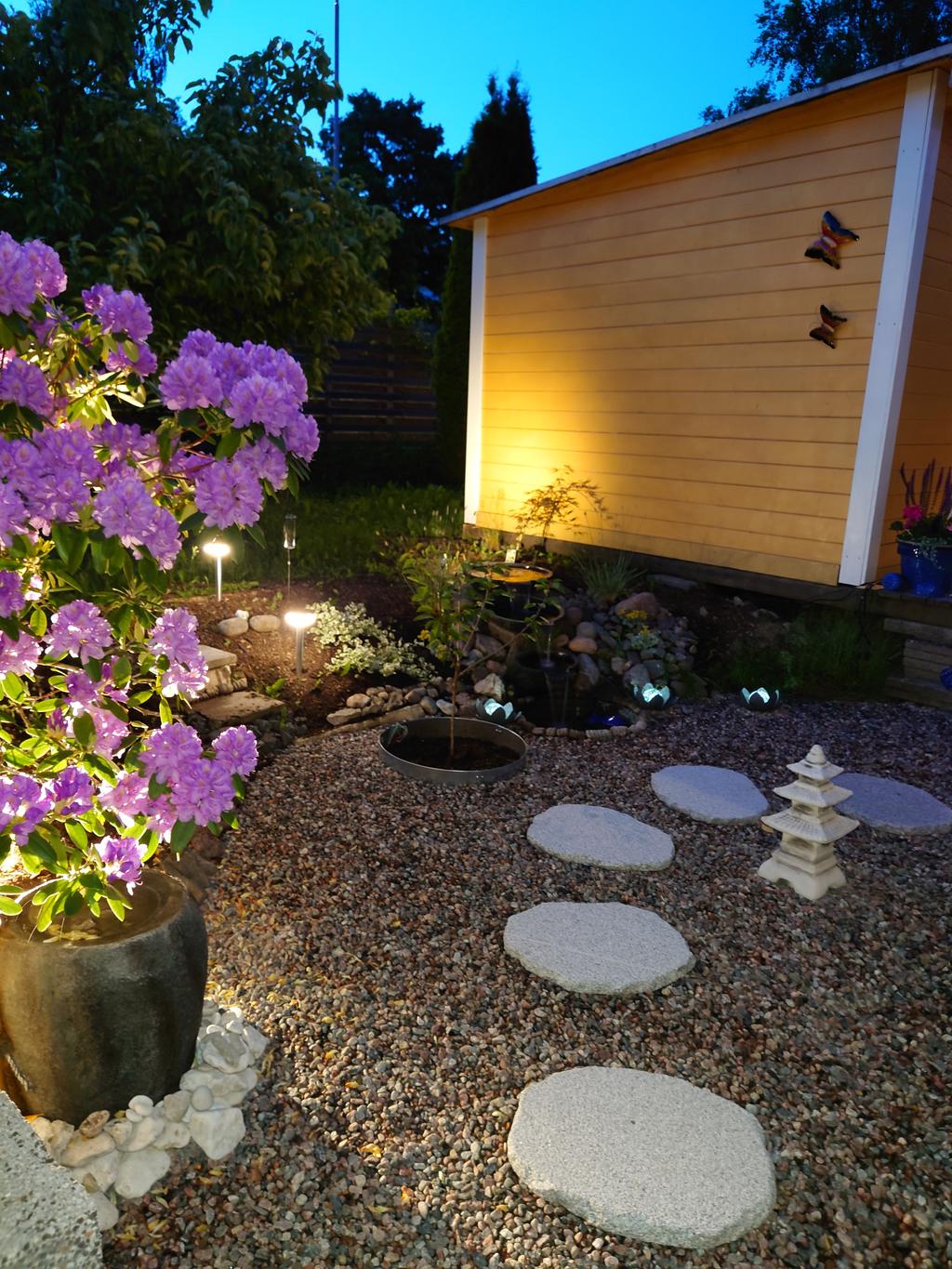 Säljarens egna sommarbilder av trädgården