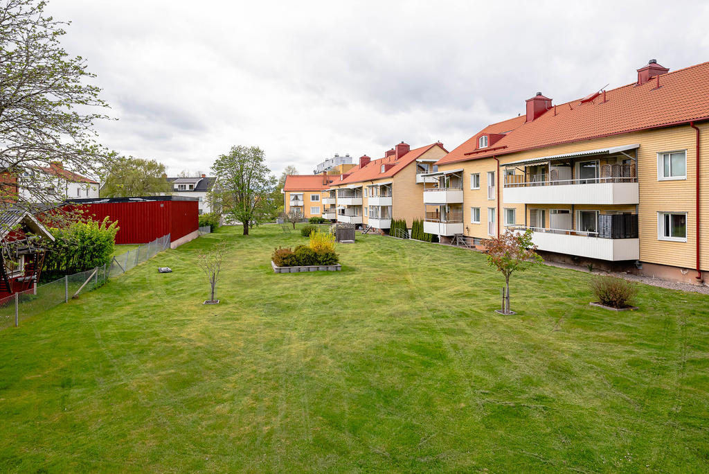 Föreningens stora trädgård utanför balkongen