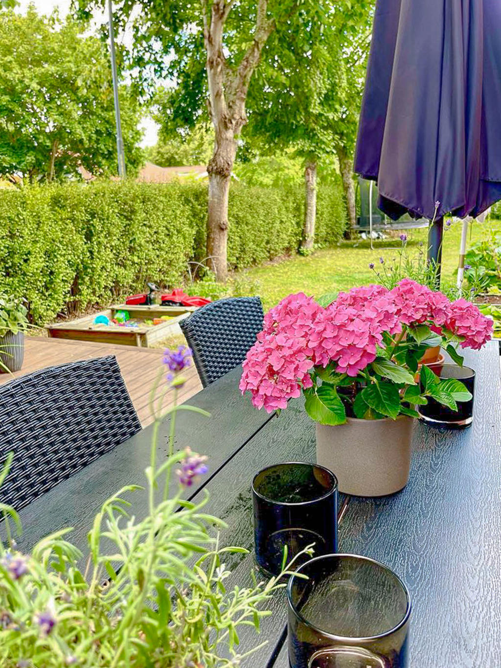 Säljarens bilder