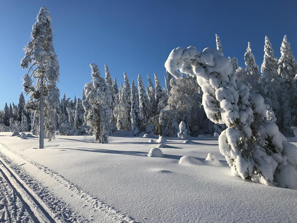 Mattila 68 - Vinterbild