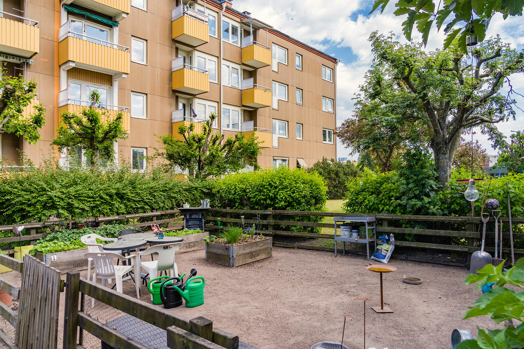 Odlingsmöjligheter finns för de som önskar