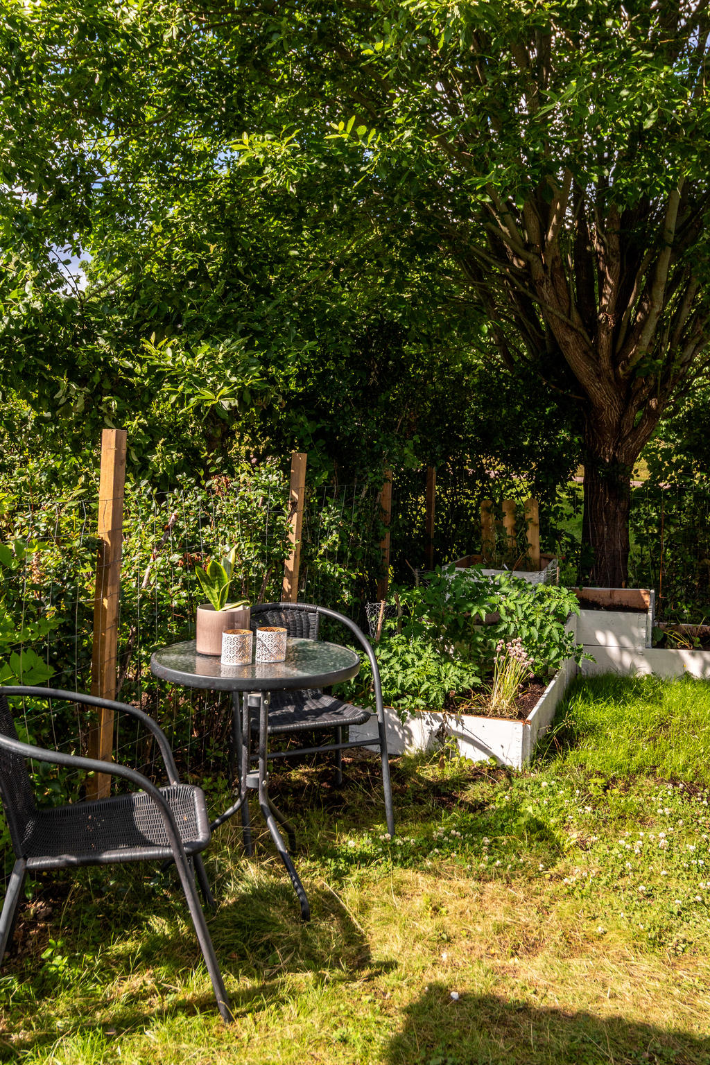 Trädgård på baksidan