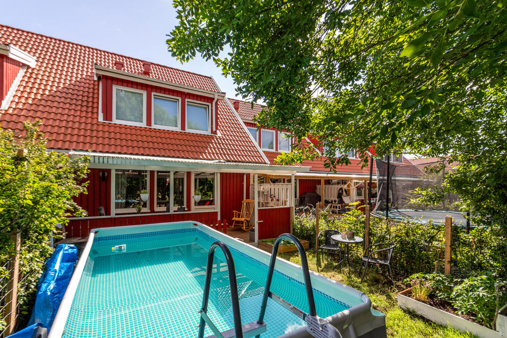 Trädgård på baksidan