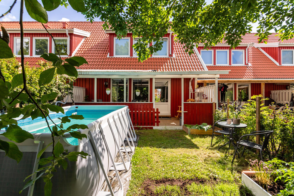 Trädgård på baksidan