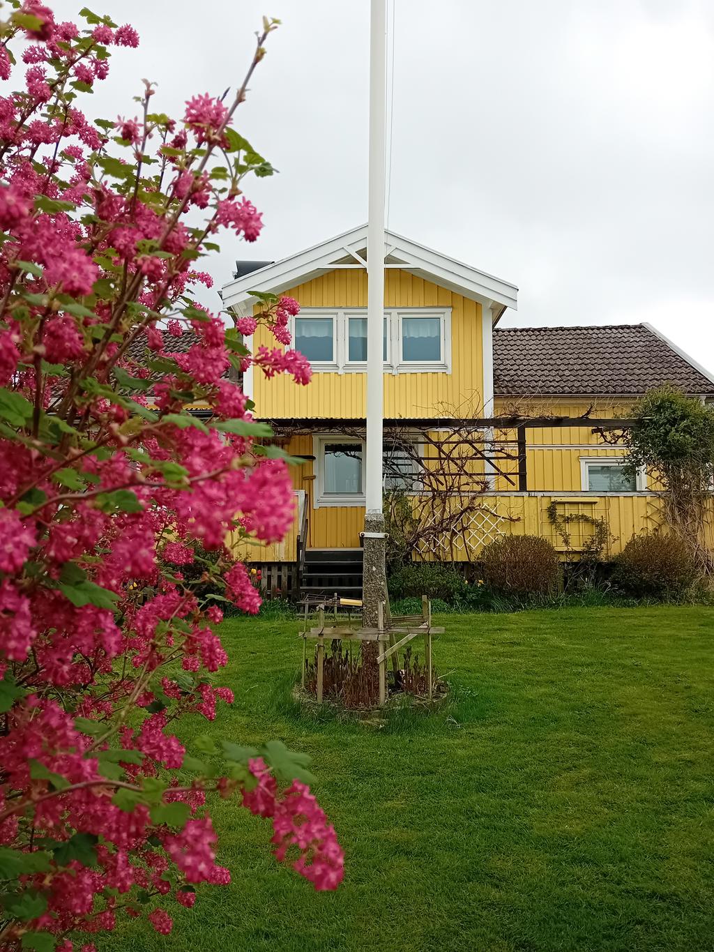 Säljarens bilder