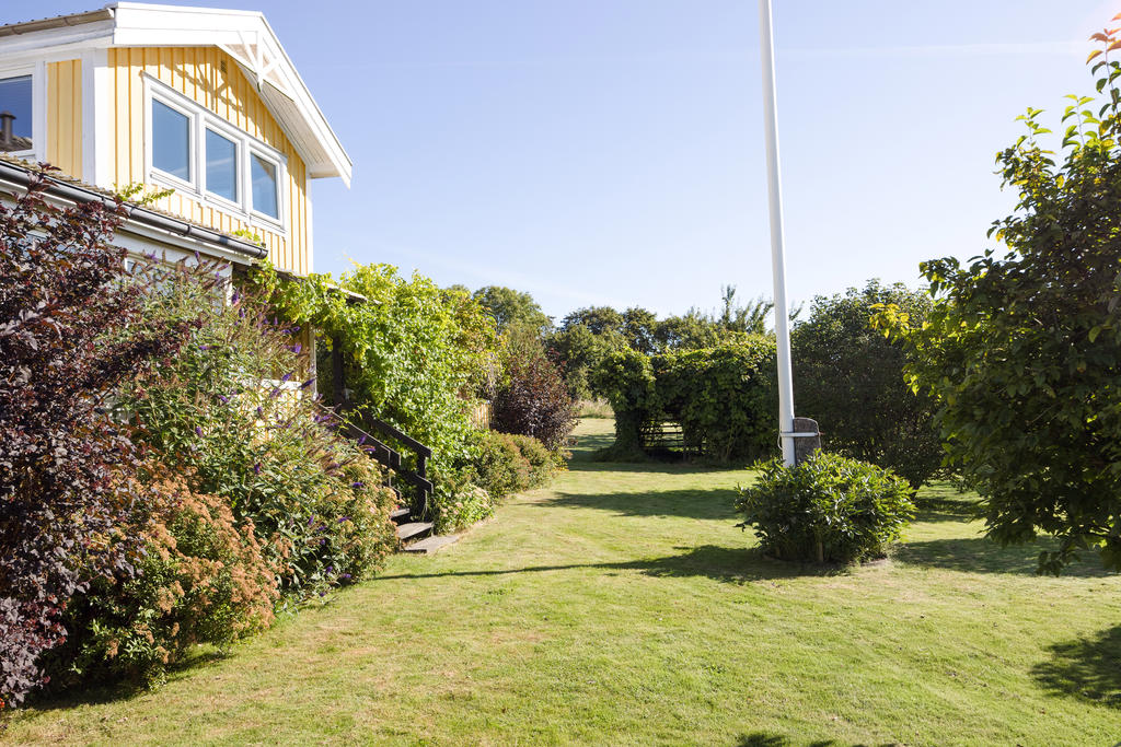 Trädgård 