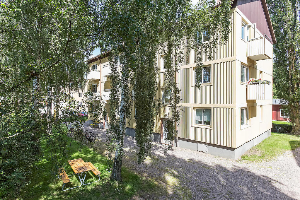 Exteriör