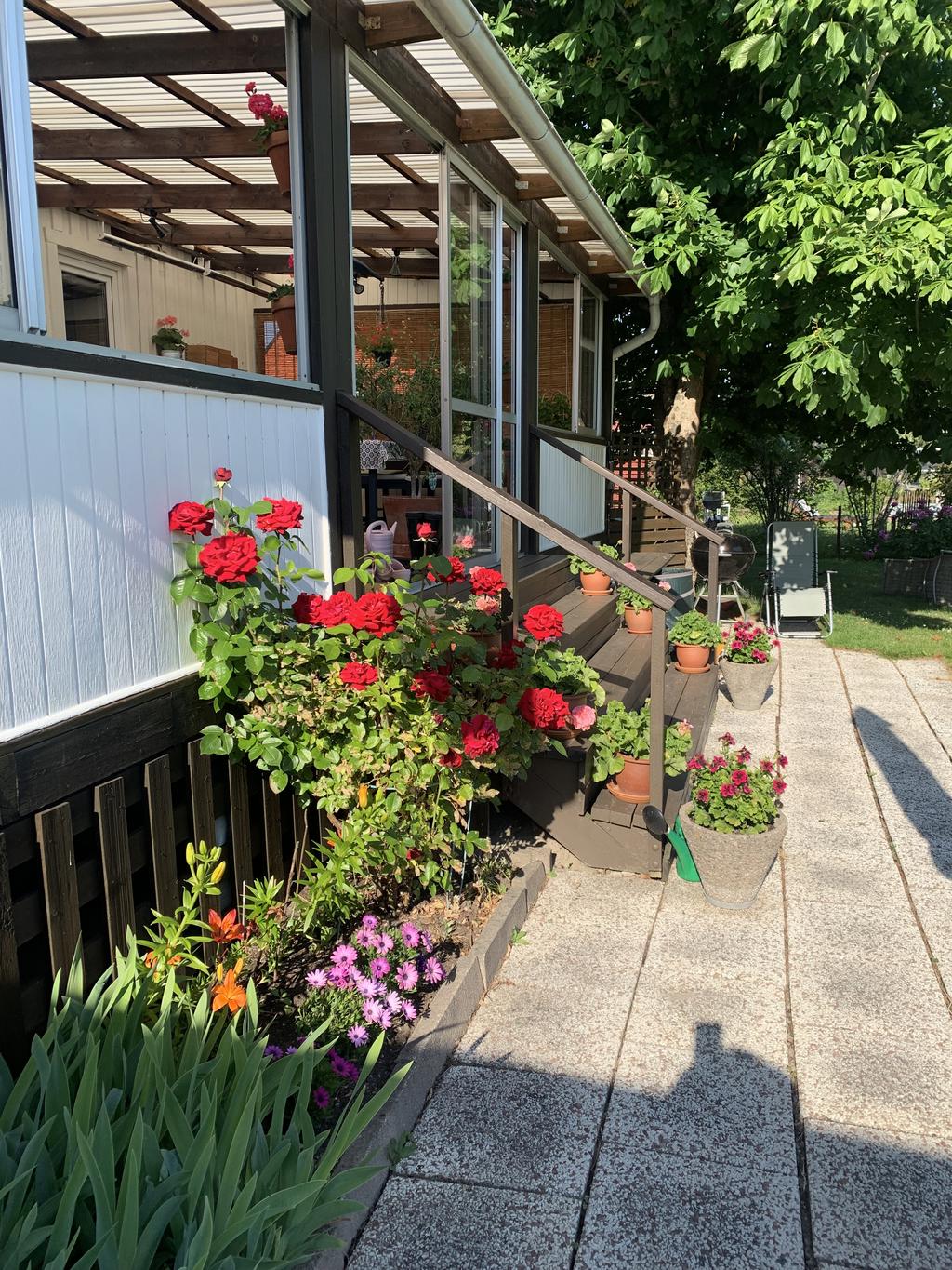 Säljarens egen sommarbild