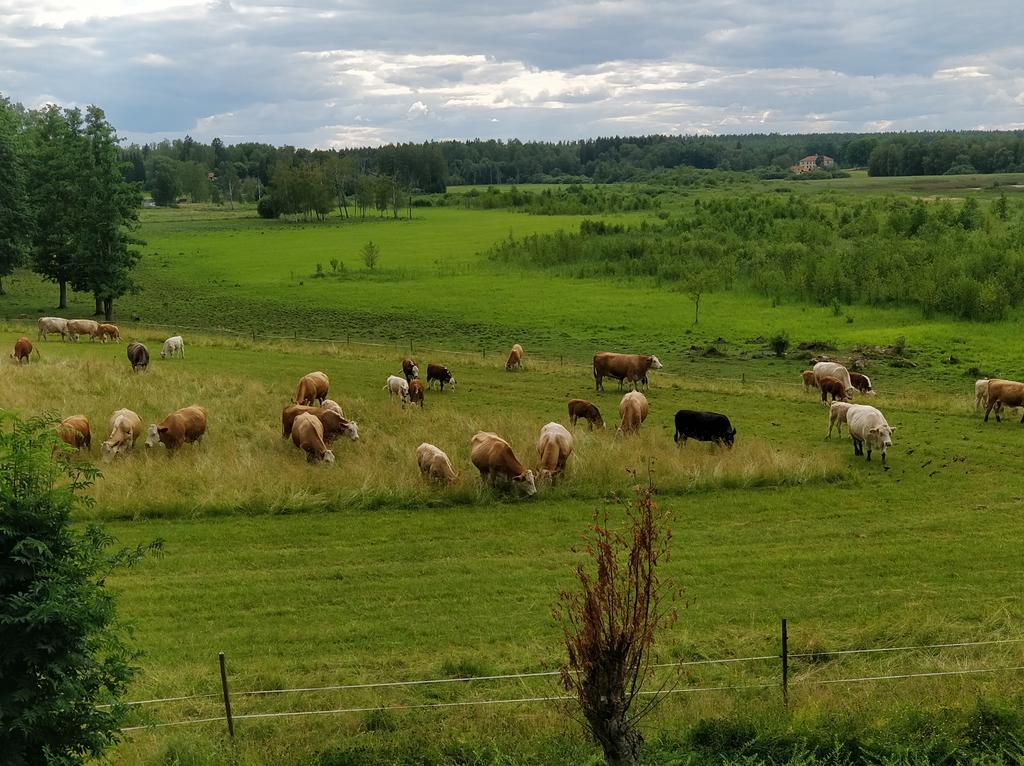 Säljarens privata bild.