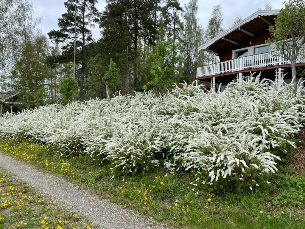 Säljarens privata bild.