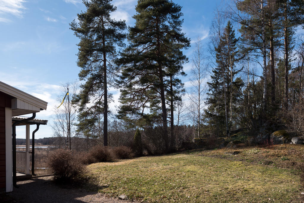 Del av trädgård.
