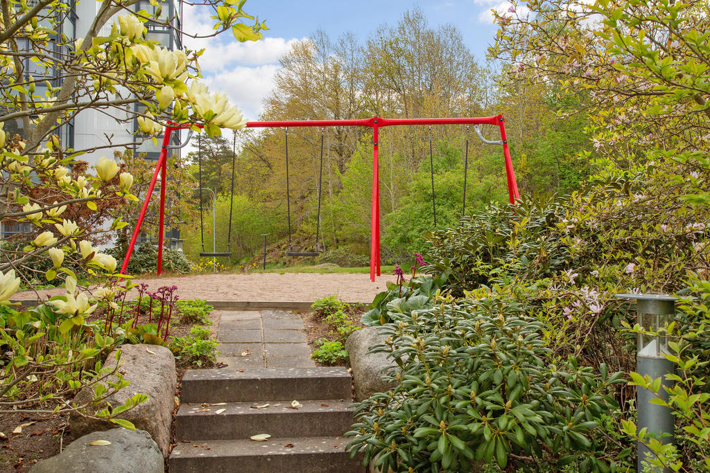 Föreningens välskötta innergård