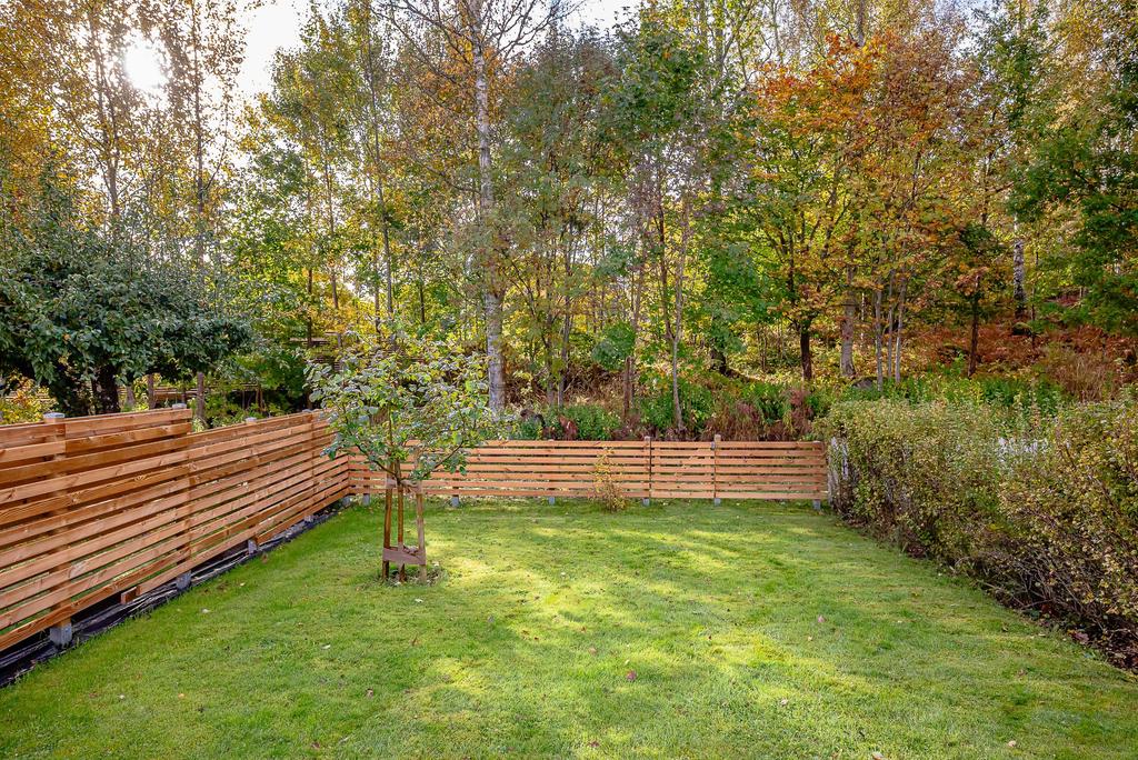 Trädgård som angränsar mot allmänning bakom, nytt staket med grind 2025