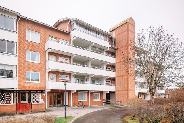 Välkommen till valnötsstigen 3!