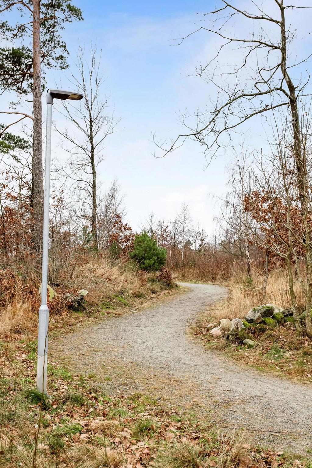 Många fina promenadstråk i området