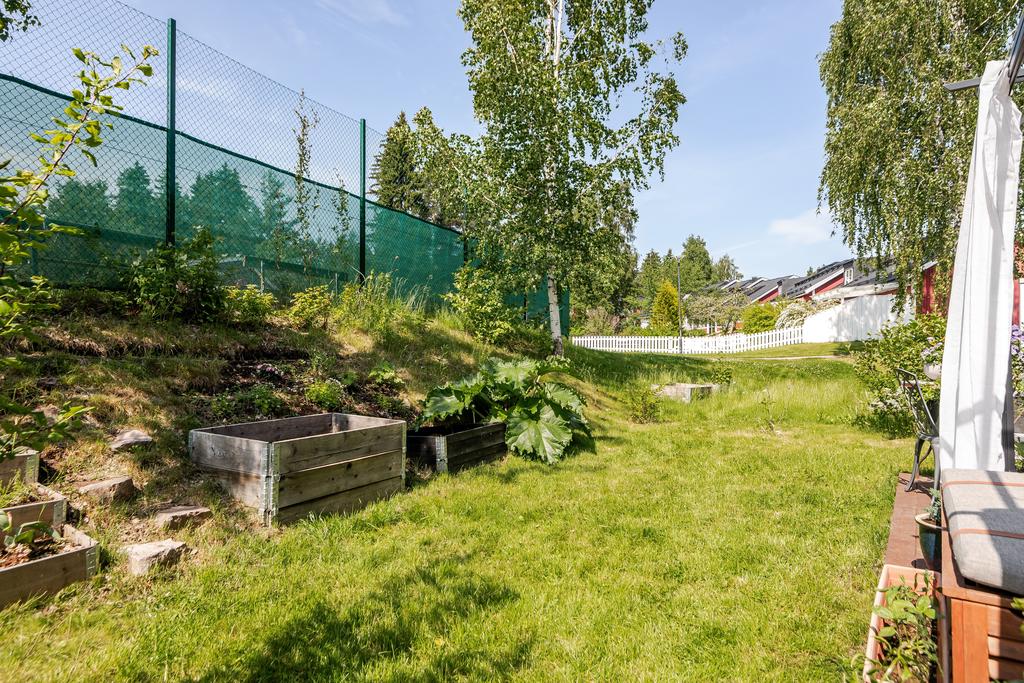 Liten gräsmatta