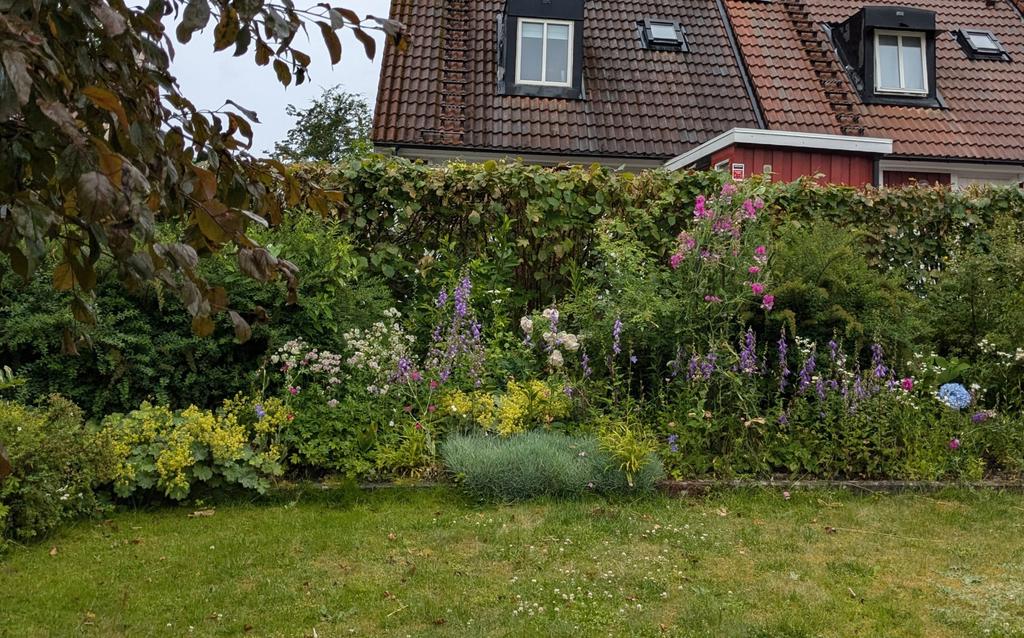 Säljarens egna bild på blomsterprakten.