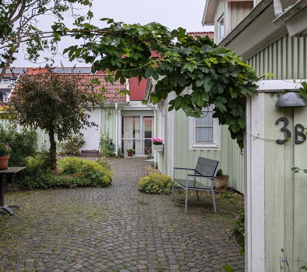 Säljaren egna bild på trädgården.