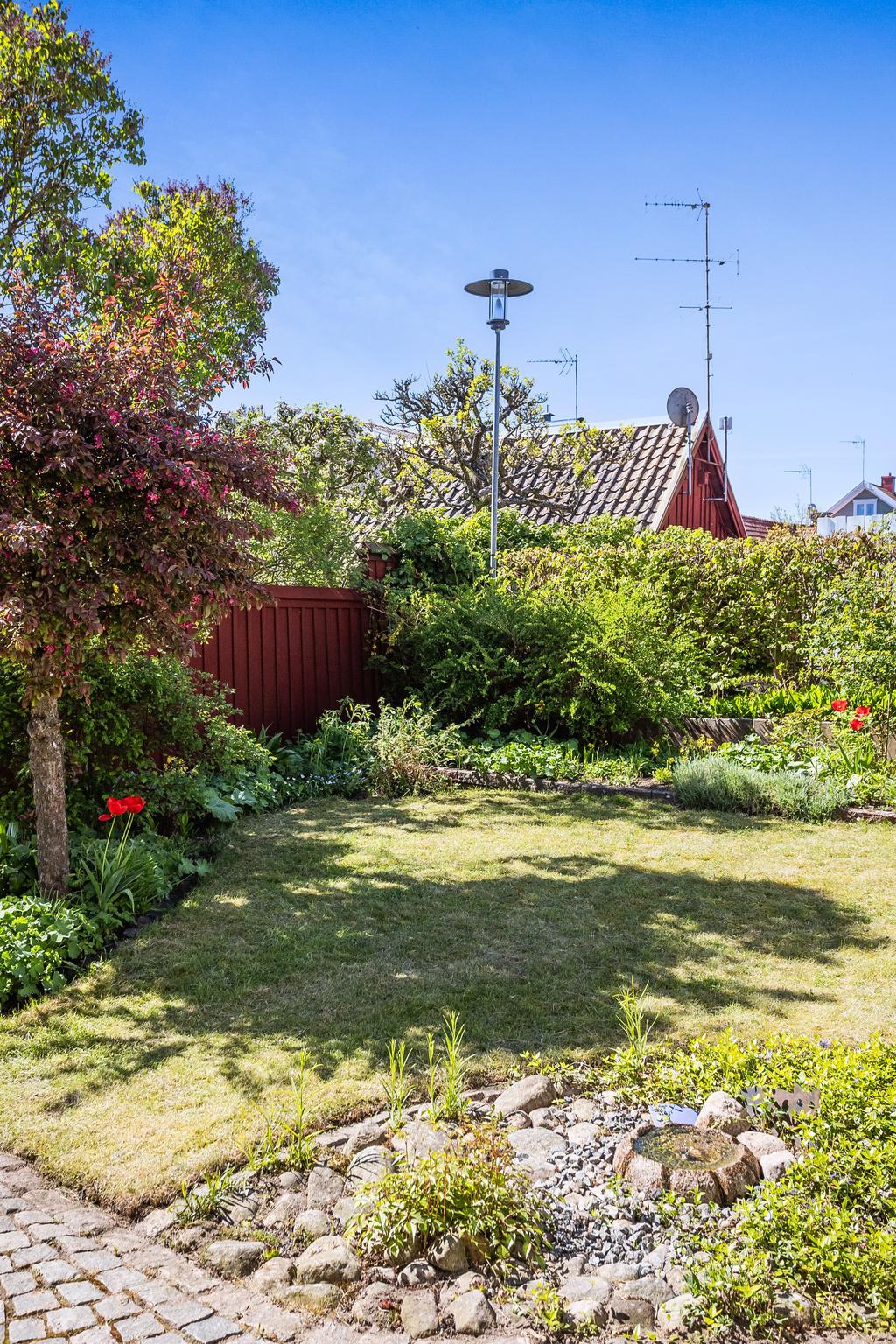 Trädgården.