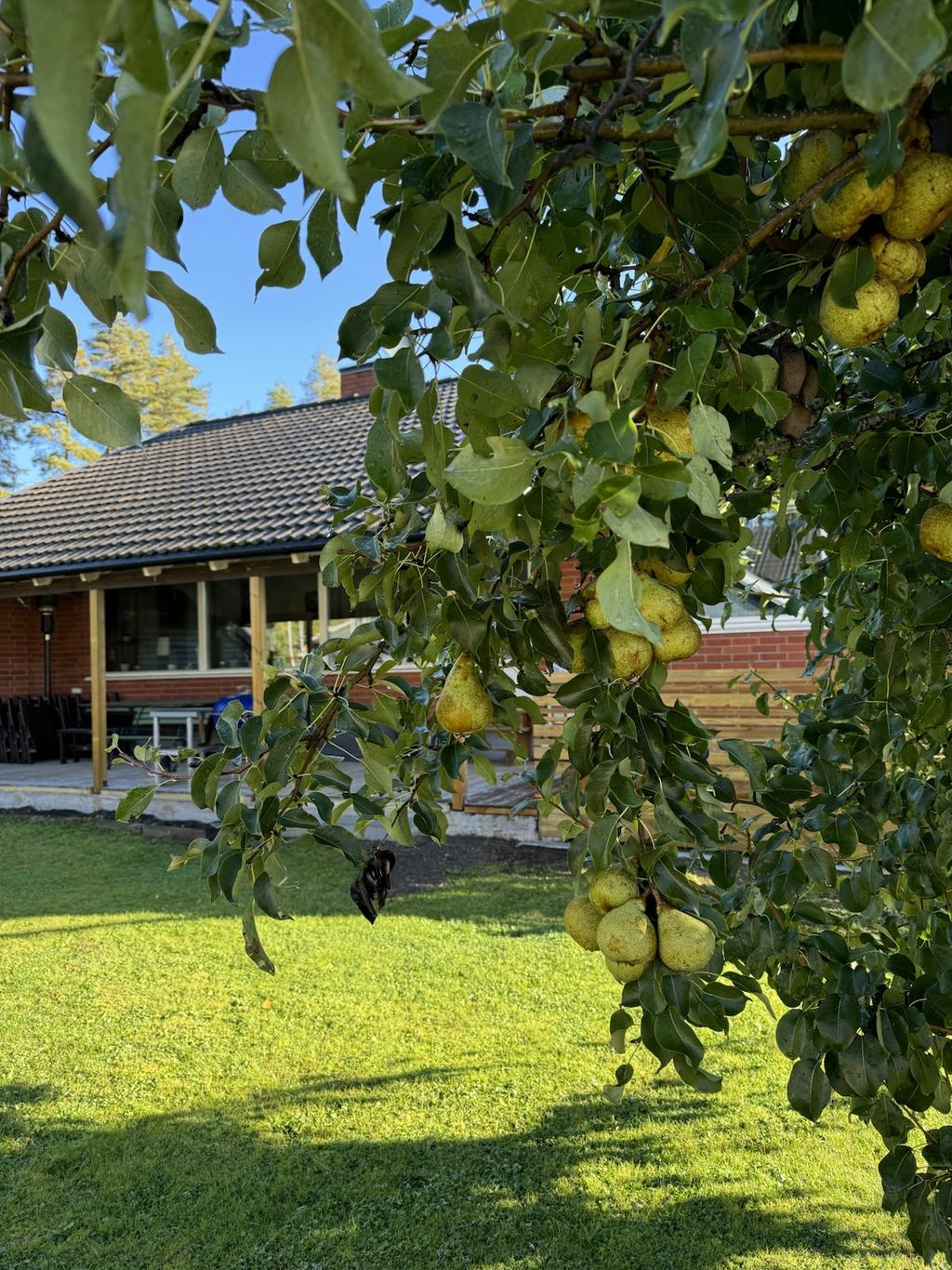 Sommar på Bergsgatan