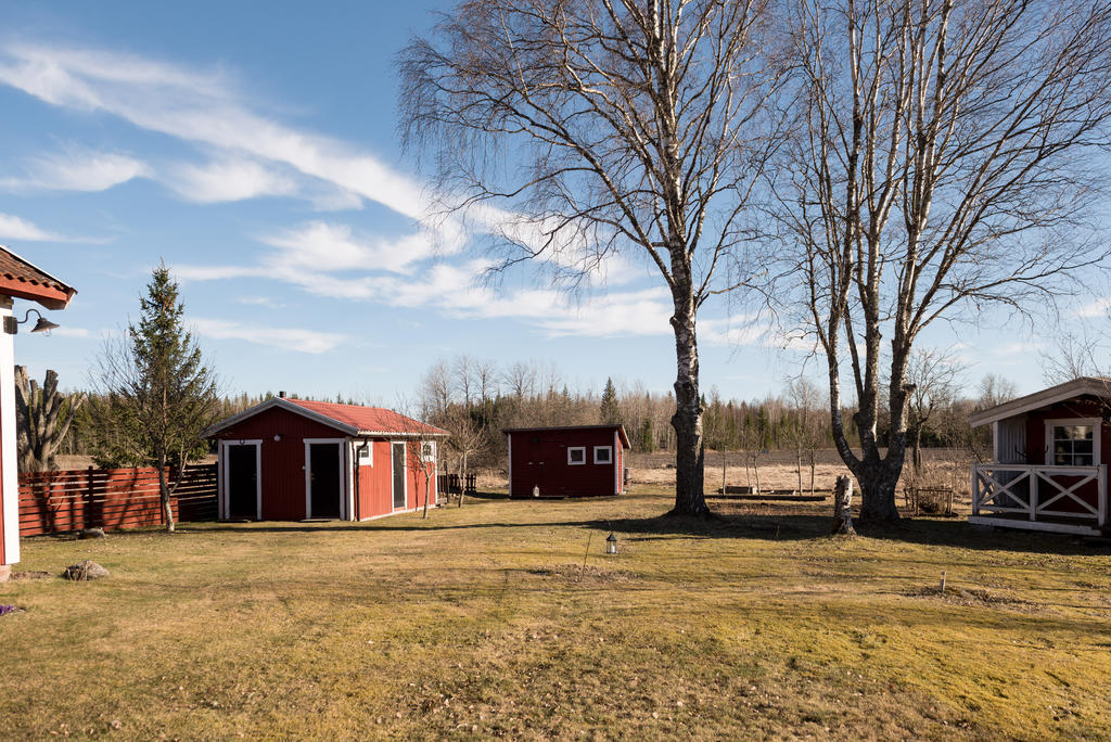 Trädgård.