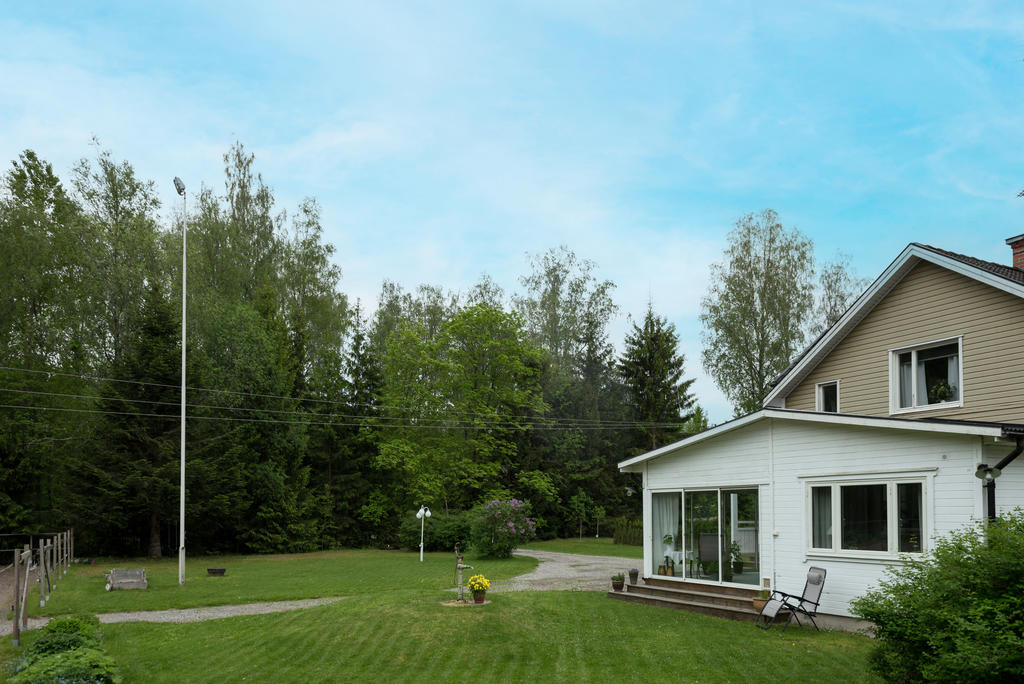 Trädgård.