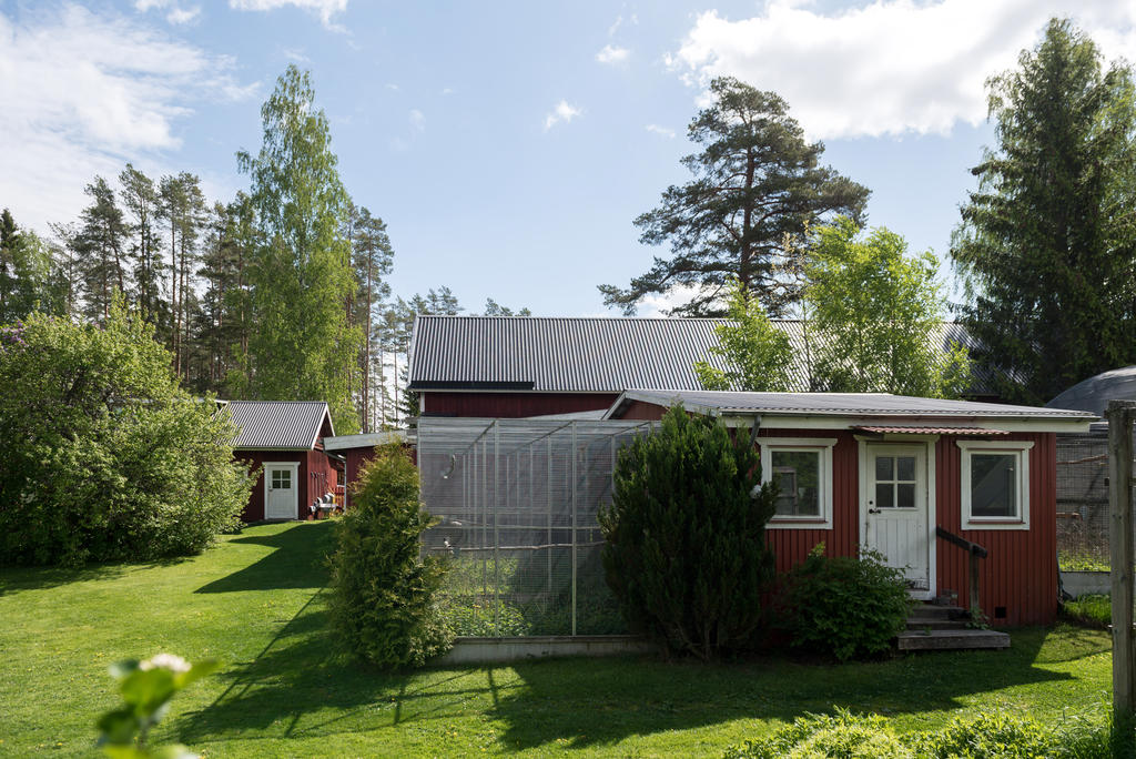 Fågelhuset.