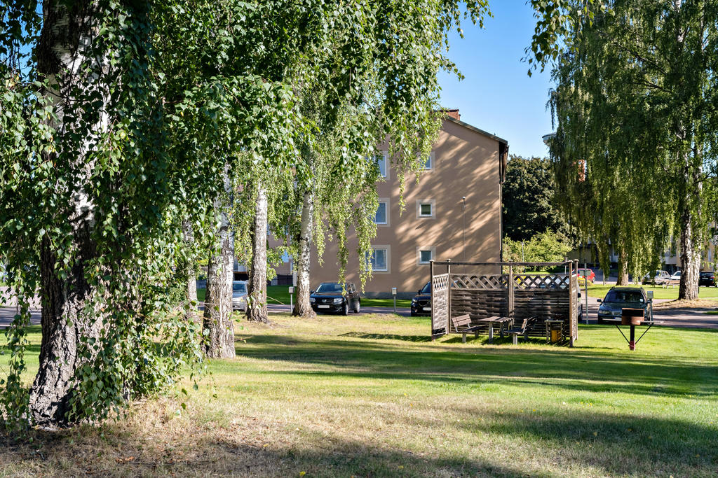 Föreningens gemensamma gård.