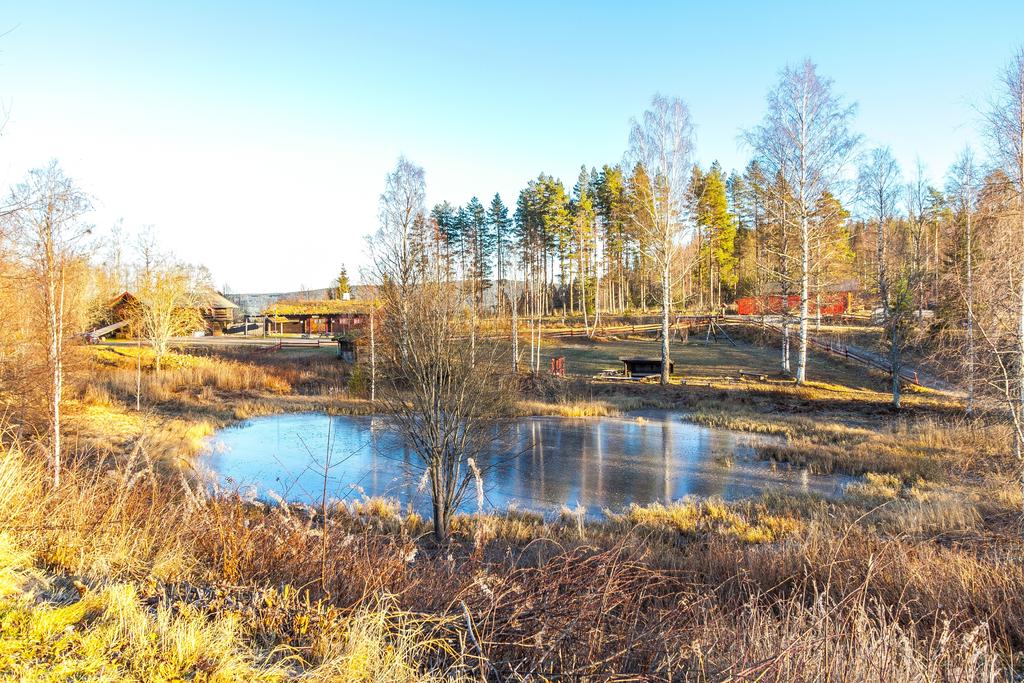 Exteriör